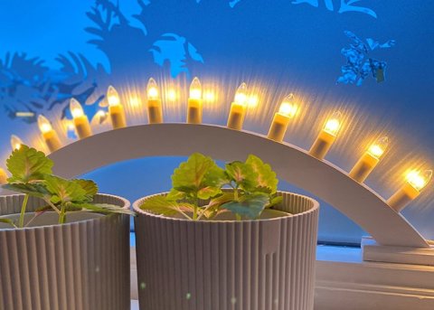 Styrkur til Velferðarsjóðs Eyjafjarðarsvæðis