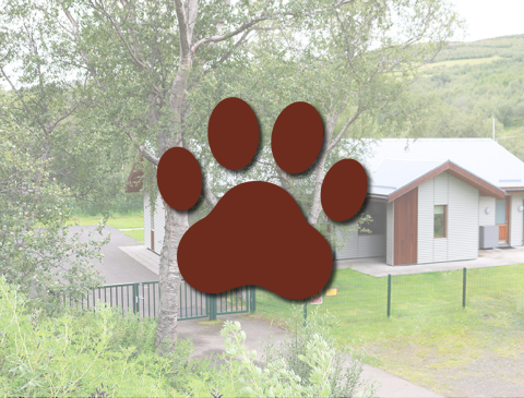 Gæludýr leyfð í Skógarseli